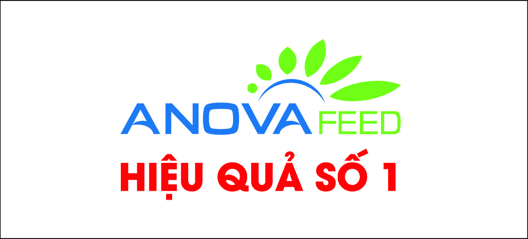 Vẽ logo Công ty thức ăn gia sức Anovafeed